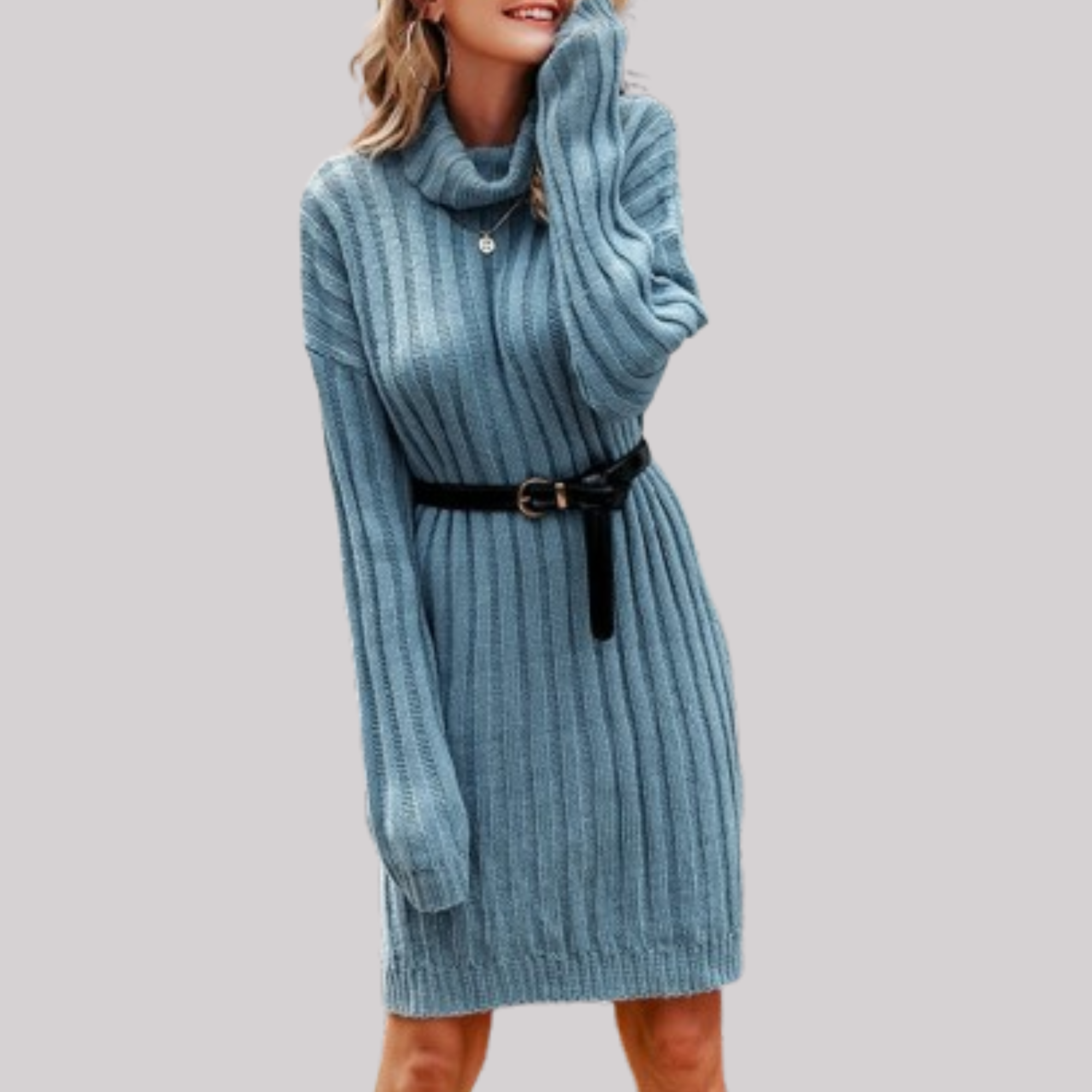 ElegantTurtleneck Autumn Sweater Dress