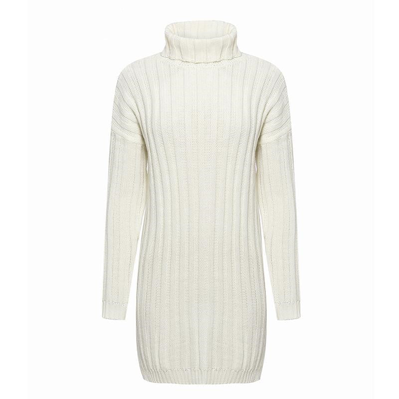 ElegantTurtleneck Autumn Sweater Dress